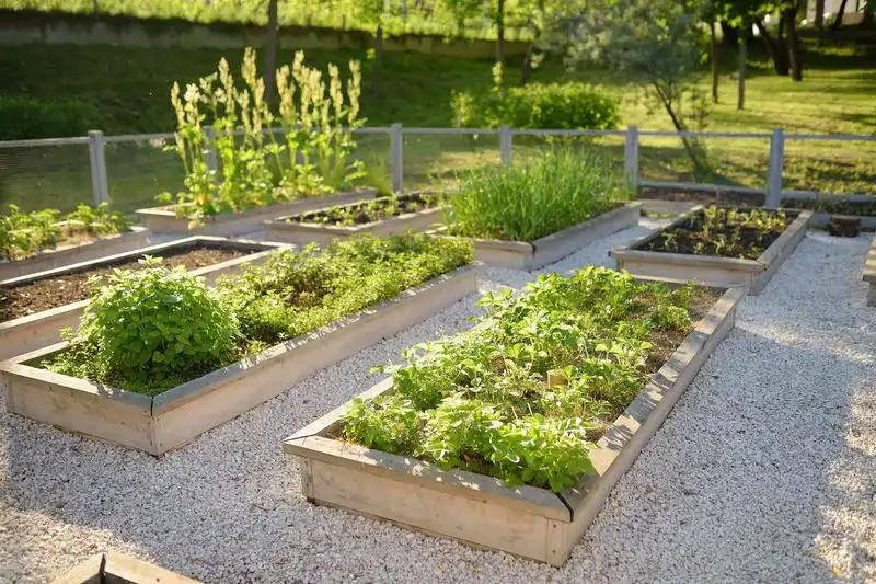 Raised Bed Gardening