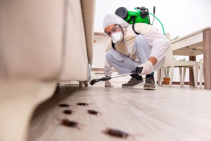 Neglecting Pest Monitoring