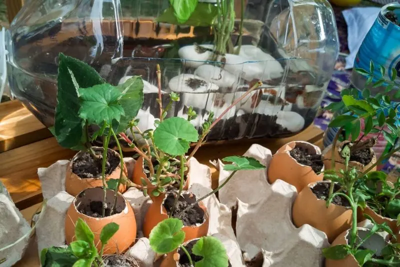 Recycle and Upcycle Garden Materials