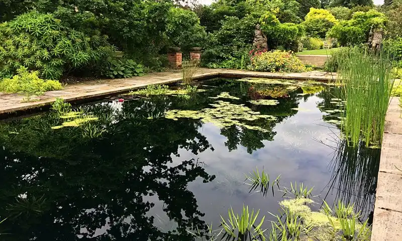 Reflective Pool