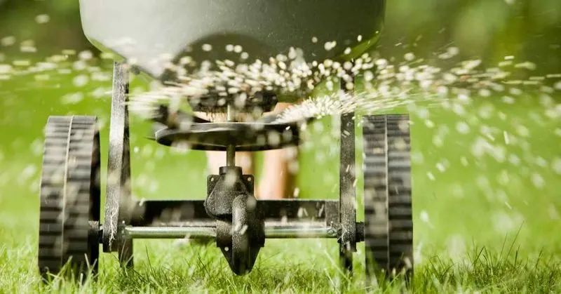 Refrain from Heavy Fertilizing