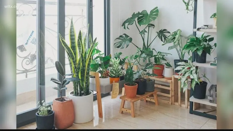 Refreshing Indoor Air Quality