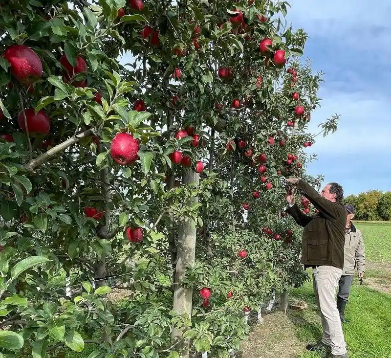 Managing Competing Vegetation
