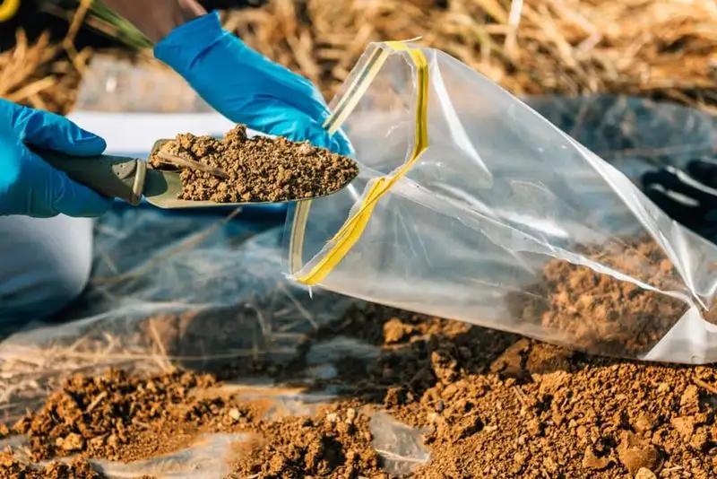 Regular Soil Testing and Amendments