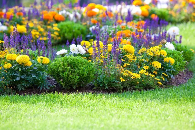 The Illusion of Effortless Perennials
