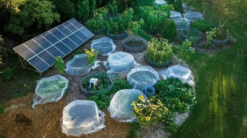 Renewable Energy Integration