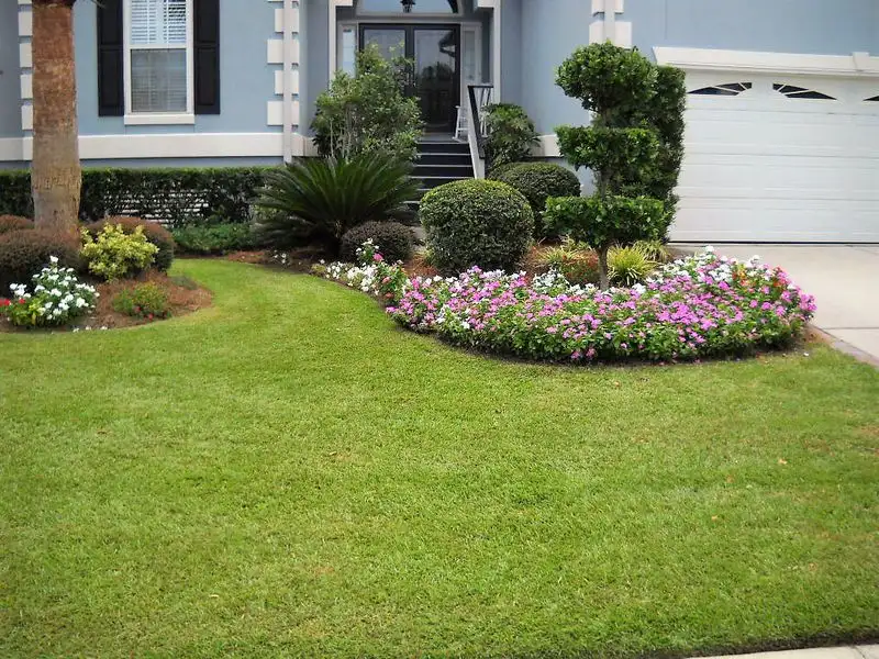 Revitalizing Lawn Areas