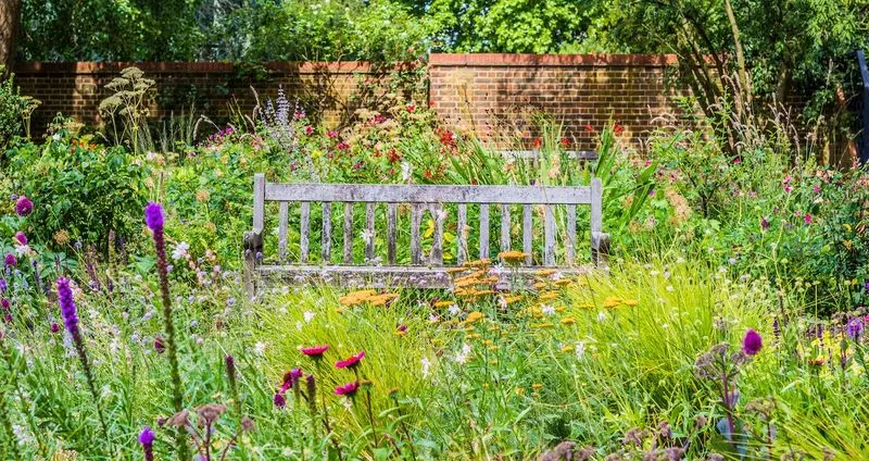 Rewilding Gardens