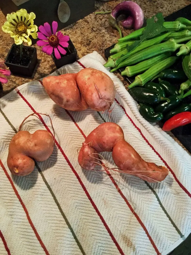 Twisted Sweet Potato