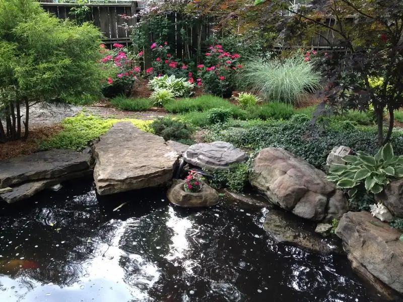 Rock Garden Oasis