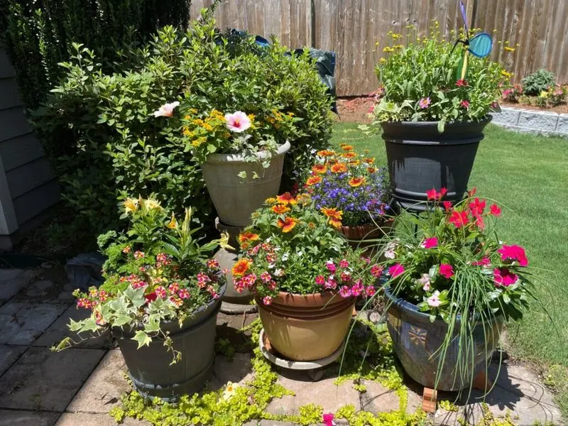 Container Gardening