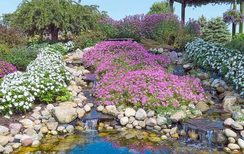 Rock Gardens