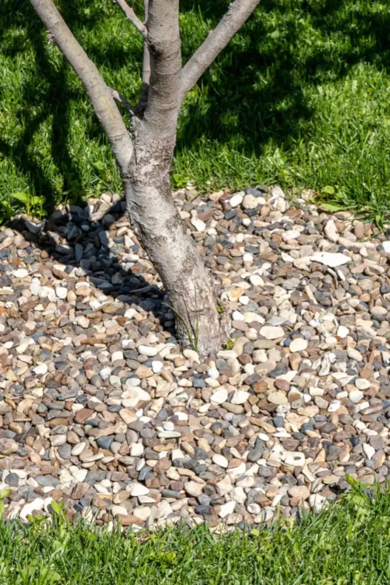 Rock Mulch