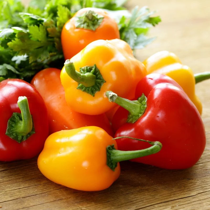 Romanian Cheese Pepper