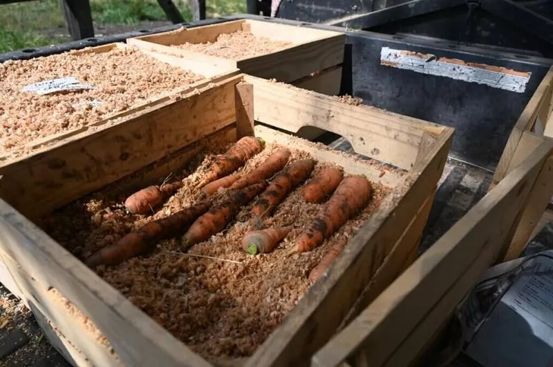 Root Cellaring