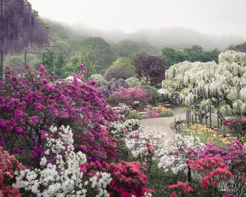 Rose Garden Romance