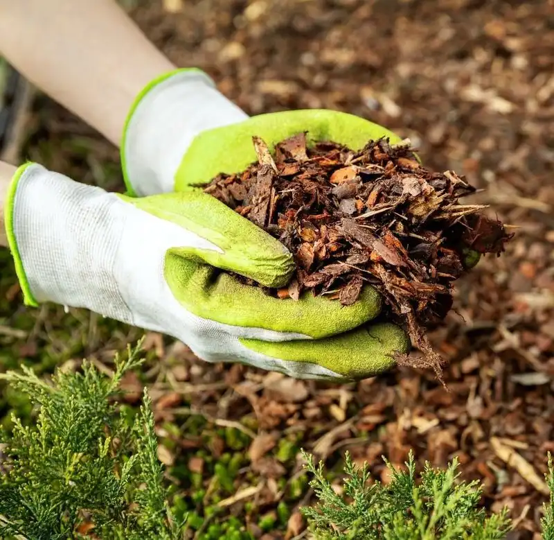 Mulch for Moisture