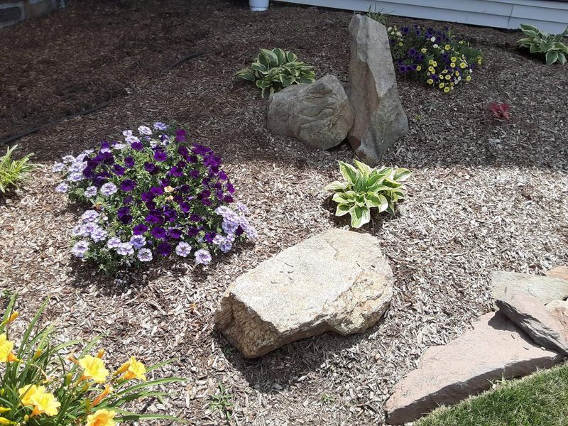 Rustic Boulders and Grasses