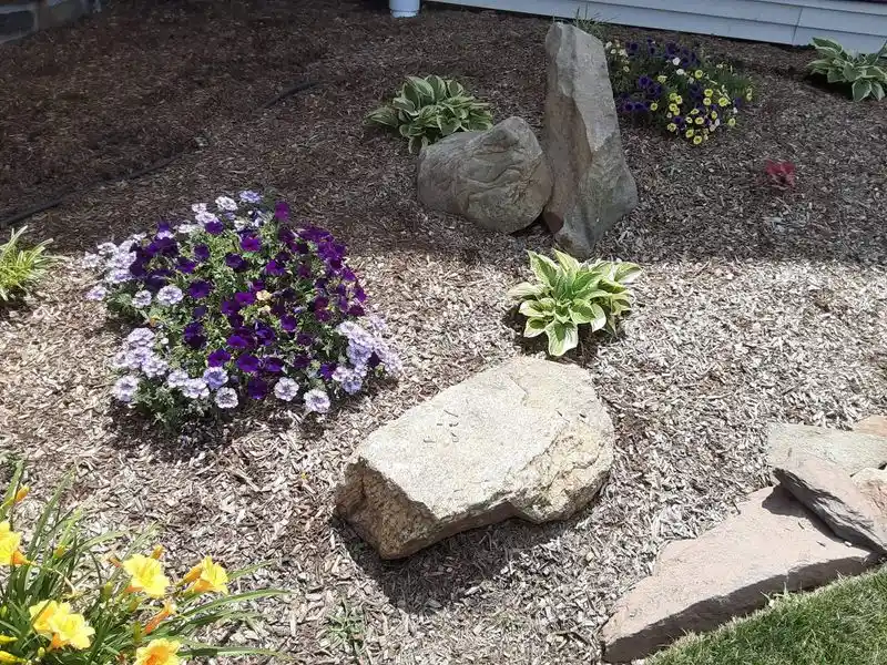 Rustic Boulders and Grasses