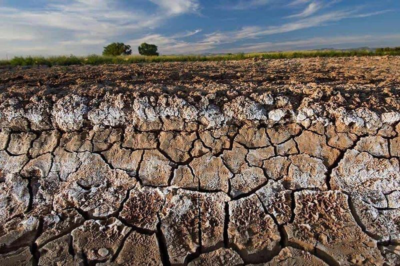 Salty Soil