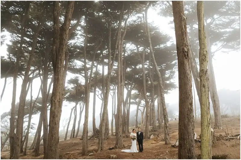 San Francisco Botanical Garden's Redwood Grove