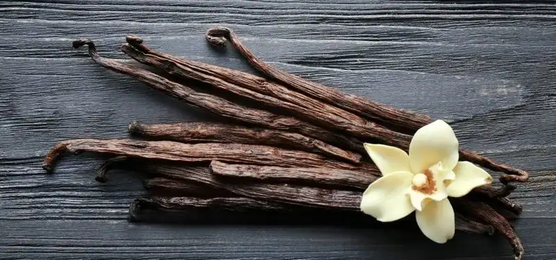 Vanilla