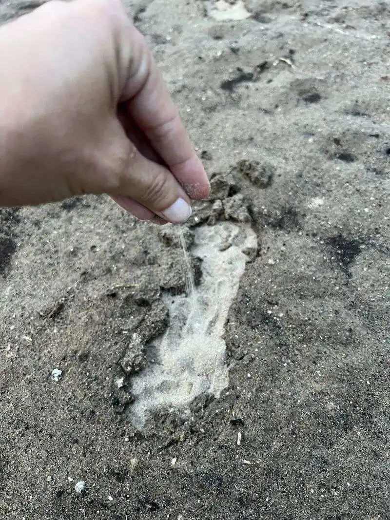 Sandy Soil is a Lawn's Enemy