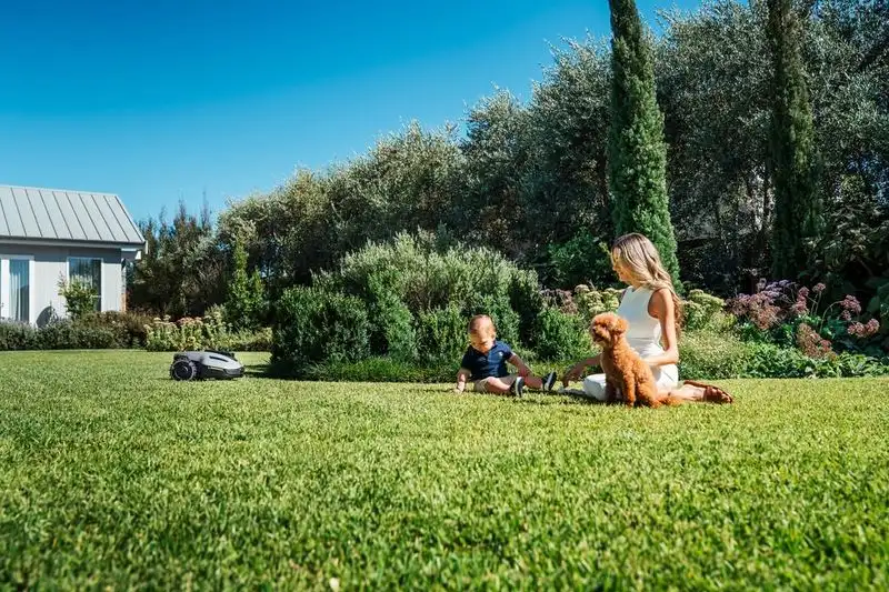 Educate Family on Lawn Care