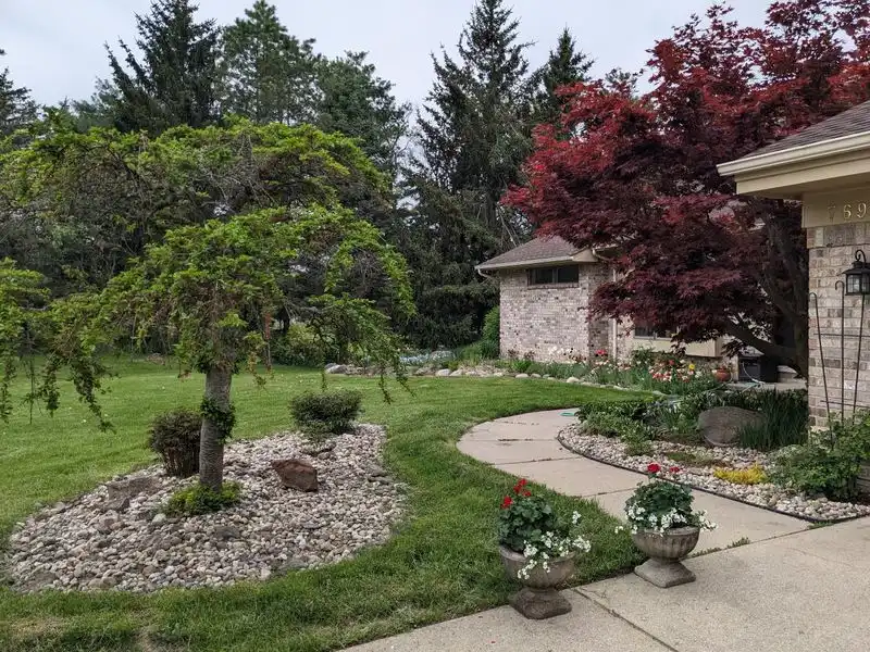Focal Point Tree