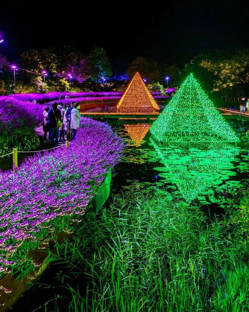 Seasonal Flower Displays