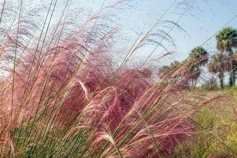 Seasonal Interest