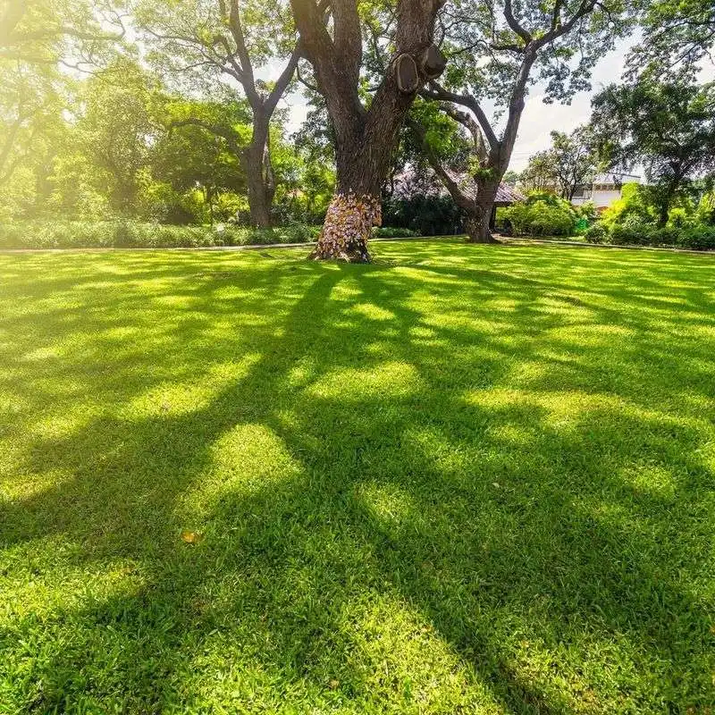 Optimizing Sunlight Exposure