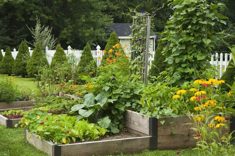 Seasonal Planting