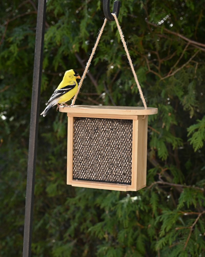 Seed Feeders