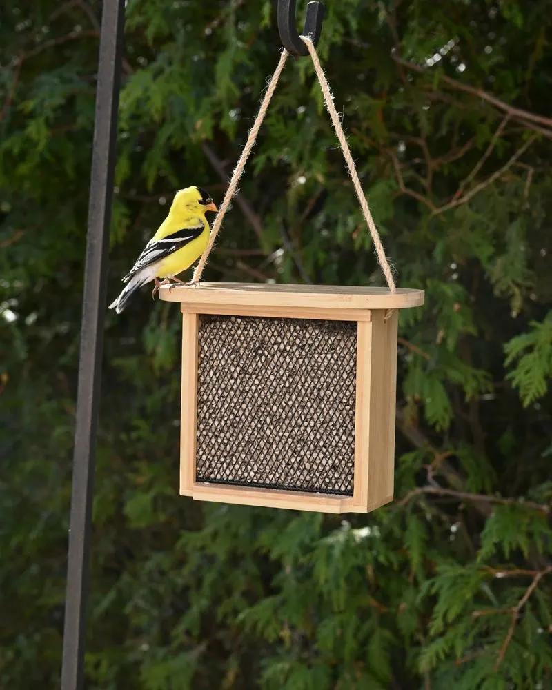 Seed Feeders
