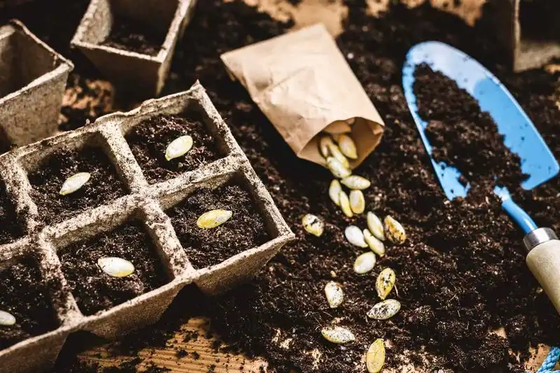 Seed Saving