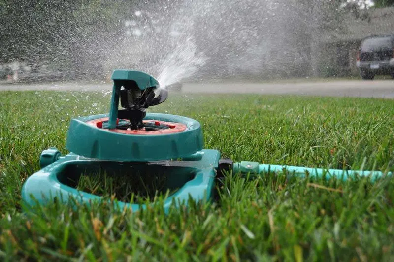 Watering Wisely