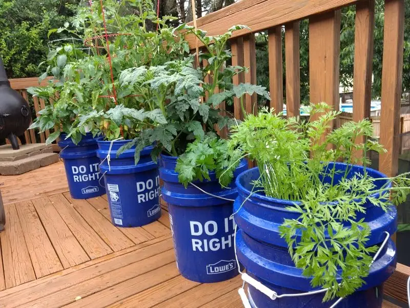 Self-Watering Containers