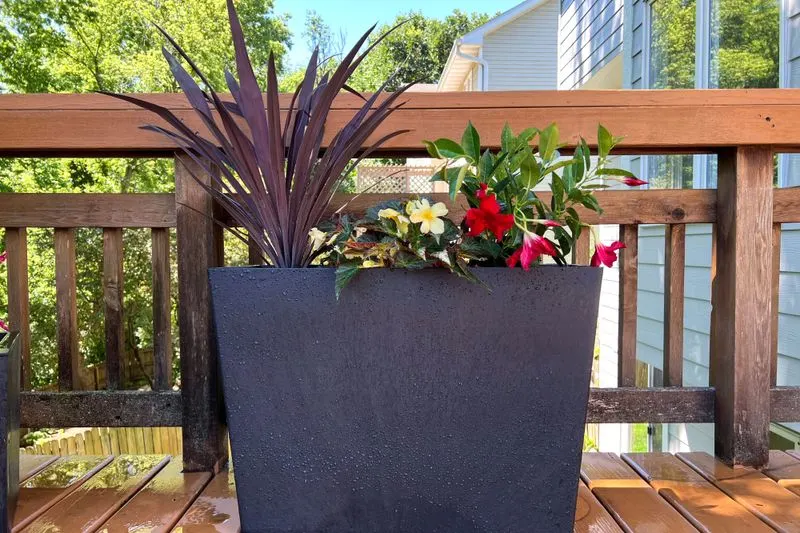Self-Watering Planters