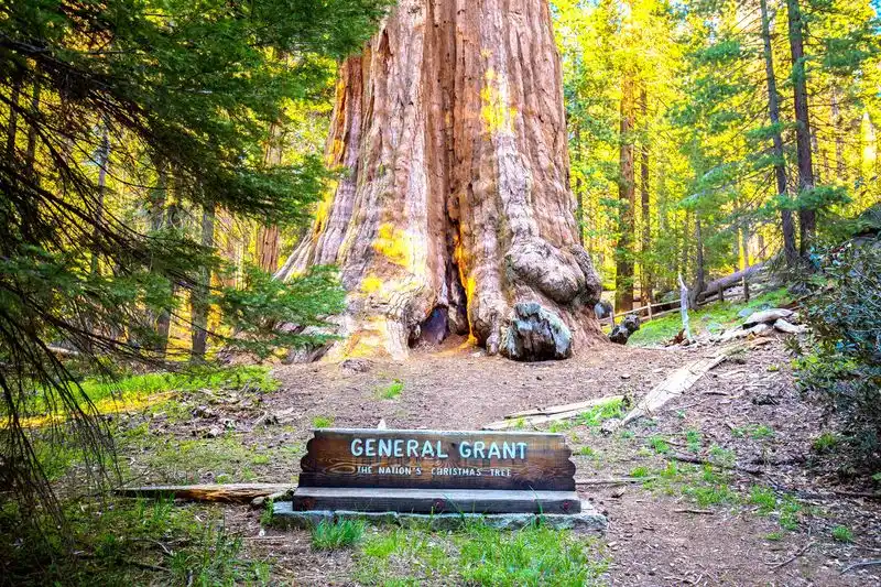 Sequoia and Kings Canyon National Parks