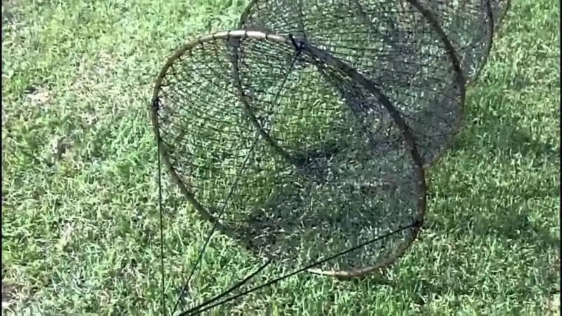 Set Up Netting or Mesh