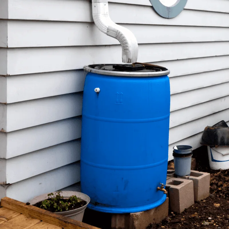 Set Up Rainwater Collection