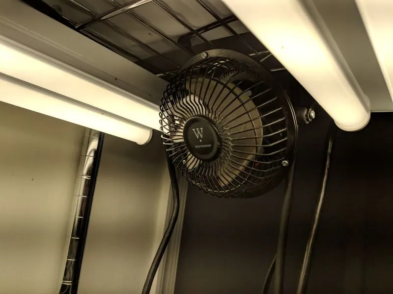 Set Up a Fan