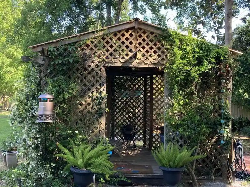 Shade-Loving Fern Grotto