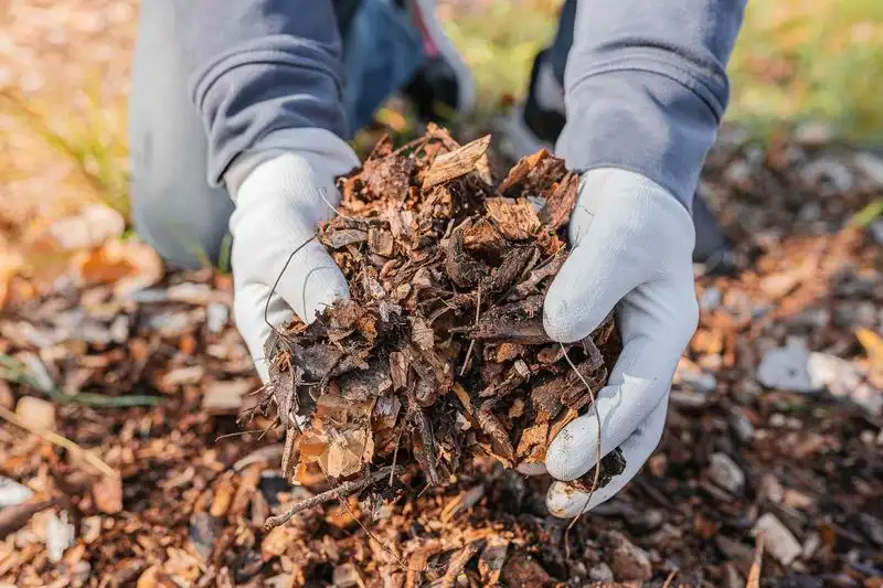 Shredded Leaves