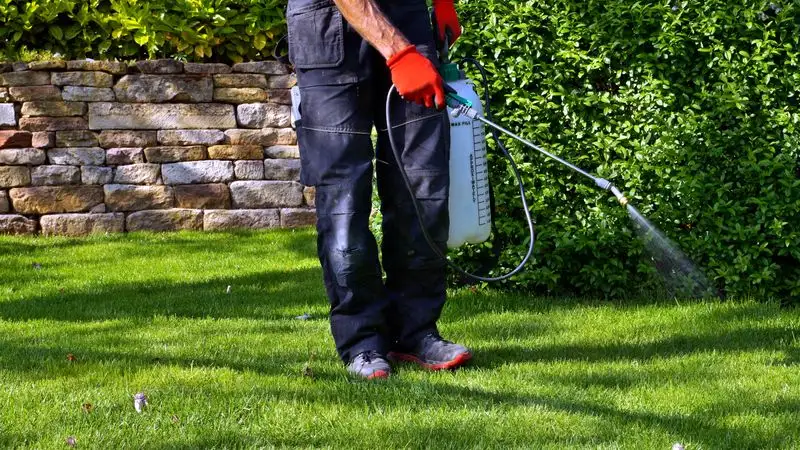 Avoid Using Pesticides in Windy Weather