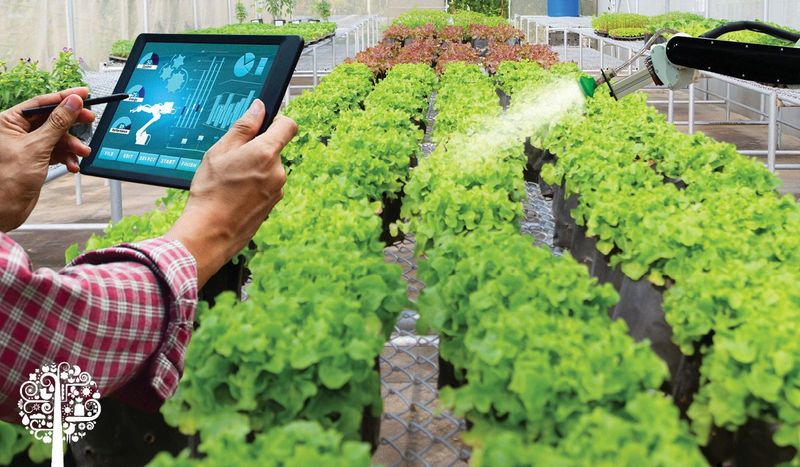 Smart Garden Technology