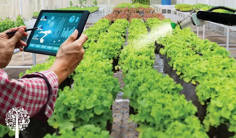 Smart Garden Technology