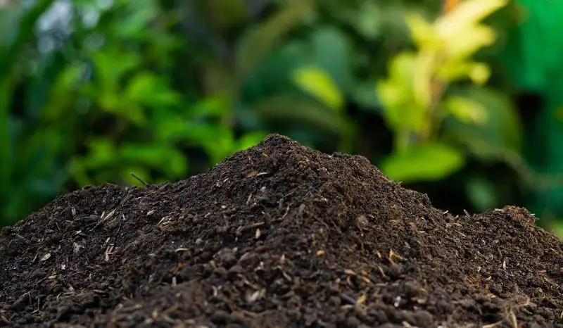 Smart Soil Choices