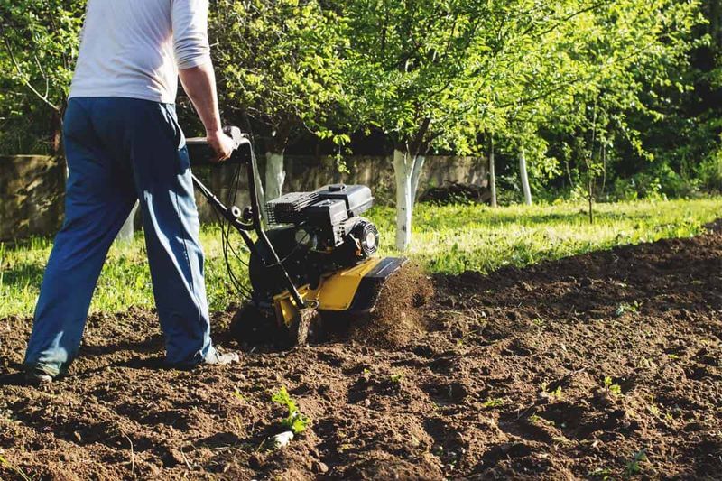 Soil Check and Tilling